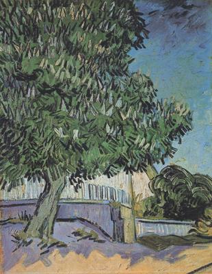 Vincent Van Gogh Chestnut Tree in Blossom (nn04) Spain oil painting art